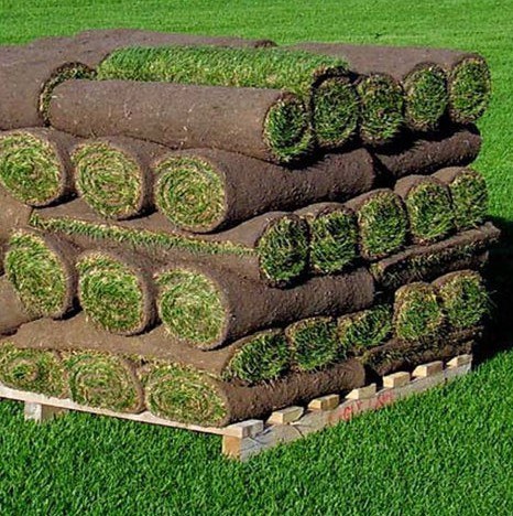 Sod Installation in Richmond