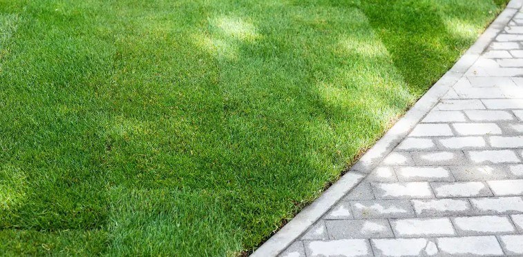 Sod Installation services in Richmond, Virginia